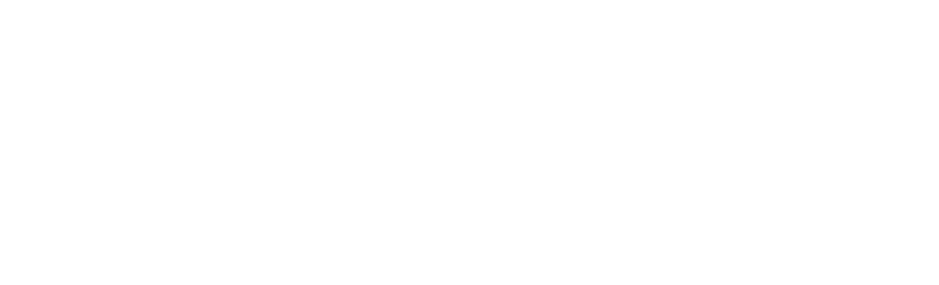 Nisus Logo